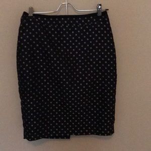 Ann Taylor Polk a dot skirt